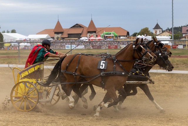 了丰富的经 了丰富的经